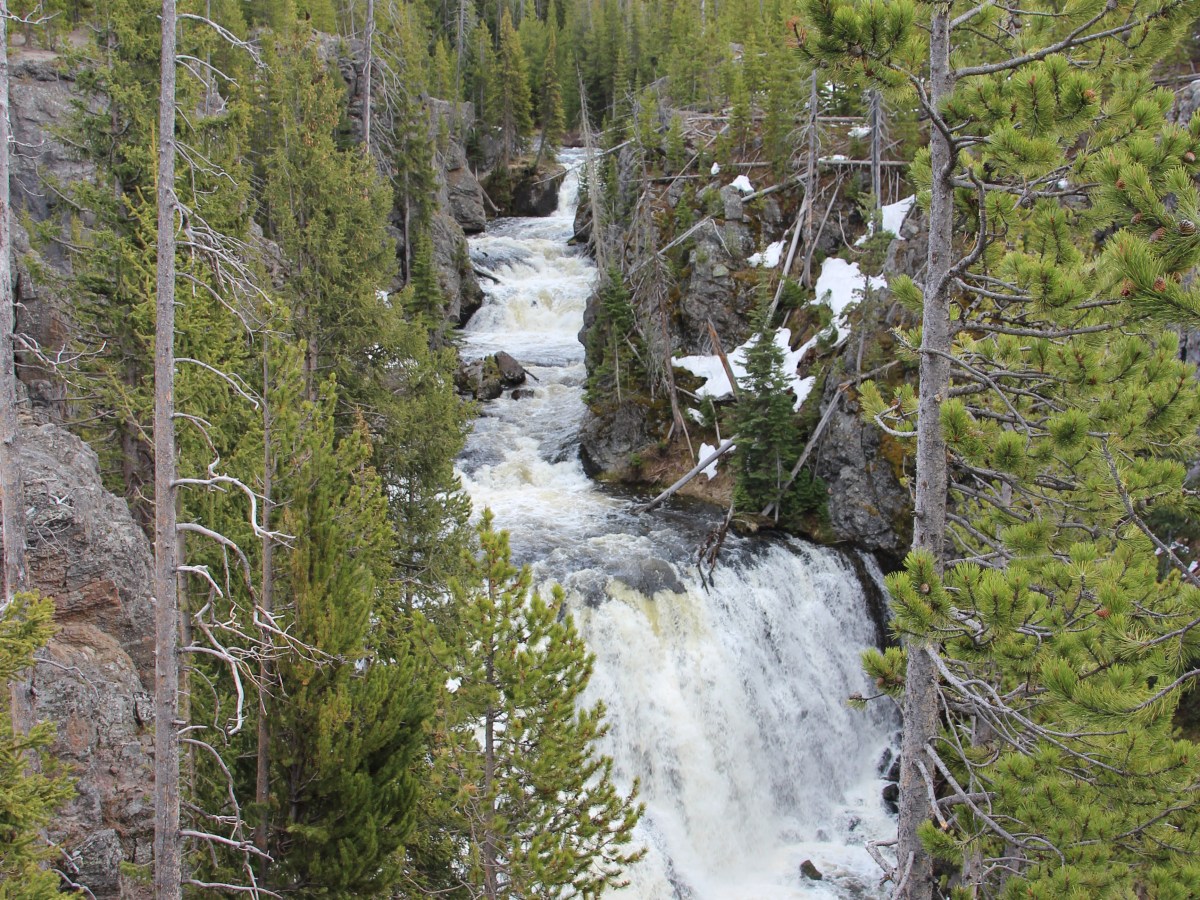 Yellowstone National Park&nbsp;2018